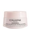 Collistar - Rigenera RIGENERA SMOOTHING ANTI-WRINKLE NOURISHING CREAM Gesichtscreme 50 ml Damen
