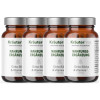 Ginkgo Biloba und Vitamine Kapseln 4 x 60 St&uuml;ck AKTION
