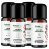 &Auml;therische &Ouml;le Fruchtig 4 x 10 ml AKTION