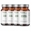 OPC und Vitamin C Kapseln Kapseln 4 x 90 St&uuml;ck AKTION
