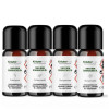 &Auml;therische &Ouml;le Kalte Jahreszeit Geschenk 4 x 10 ml AKTION