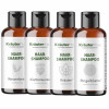 Haarshampoo Set Kr&auml;uter 4 x 250 ml AKTION