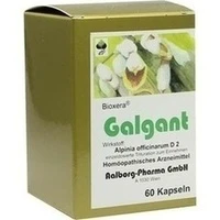 Galgant, 60 Stück, Diamant Natuur B. V. s.r.o.