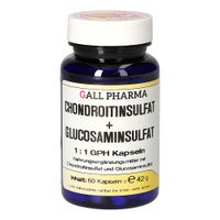 Chondroitinsulfat+Glusosaminsulfat 1:1 GPH Kapseln, 60 Stk., Hecht-Pharma GmbH