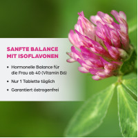 Dr. B&ouml;hm Isoflavon 90mg Dragees, 60 Stk., Apomedica Pharmazeutische Produkte GmbH