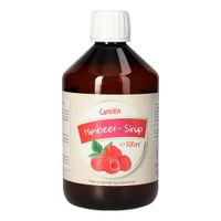 Carnitin-Himbeer-Sirup, 500 ml, Bios Medical Services