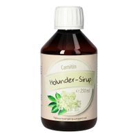 Carnitin-Holunder-Sirup, 250 ml, Bios Medical Services