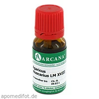 AGARICUS ARCA LM 18, 10 Milliliter, ARCANA Dr. Sewerin GmbH & Co. KG
