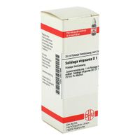 SOLIDAGO VIRGA D 1, 20 ml, Dhu-Arzneimittel GmbH & Co. KG