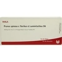 PRUNUS SPI E FLO ET SU D 6, 10x1 Milliliter, Wala Heilmittel GmbH