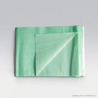 ValaProtect Basic Einmal-Schutzlaken 80x175cm, 100 st, Paul Hartmann AG