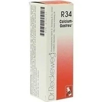 Calcium-Gastreu R34, 22 Milliliter, Dr.Reckeweg & Co. GmbH