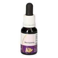 Macrozamia AUSTRALISCHE LIVING ESSENZ, 15 ml, Leitner Lifecare GmbH