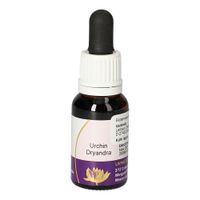 Urchin Dryandra australische Living Essenz, 15 ml, Leitner Lifecare GmbH