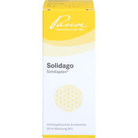 SOLIDAGO SIMILIAPLEX, 50 ml, Pascoe pharmazeutische Präparate GmbH