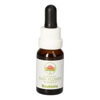 Bauhinia Austr. Bushblüte, 15 ml, Leitner Lifecare GmbH