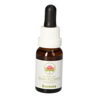 Boronia Austr. Bushblüte, 15 ml, Leitner Lifecare GmbH