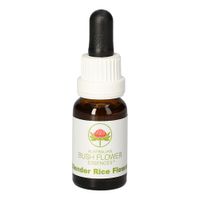 Slender Rice Flower Austr. Bushblüte, 15 ml, Leitner Lifecare GmbH