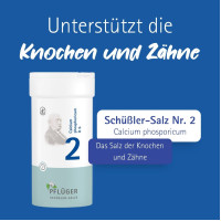 Biochemie Pfl&uuml;ger Nr. 2 Calcium phosphoricum D 6, 400 st, Hom&ouml;opathisches Laboratorium Alexander Pfl&uuml;ger GmbH & Co. KG