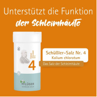 Biochemie Pfl&uuml;ger Nr. 4 Kalium chloratum D 6, 400 st, Hom&ouml;opathisches Laboratorium Alexander Pfl&uuml;ger GmbH & Co. KG