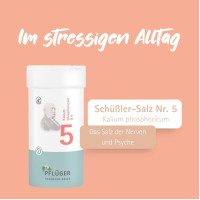 Biochemie Pfl&uuml;ger Nr. 5 Kalium phosphoricum D 6, 400 st, Hom&ouml;opathisches Laboratorium Alexander Pfl&uuml;ger GmbH & Co. KG