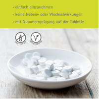 Biochemie Pfl&uuml;ger Nr. 6 Kalium sulfuricum D 6, 400 st, Hom&ouml;opathisches Laboratorium Alexander Pfl&uuml;ger GmbH & Co. KG