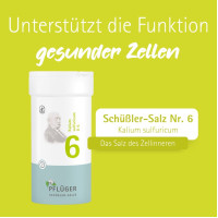 Biochemie Pfl&uuml;ger Nr. 6 Kalium sulfuricum D 6, 400 st, Hom&ouml;opathisches Laboratorium Alexander Pfl&uuml;ger GmbH & Co. KG