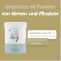 Biochemie Pfl&uuml;ger Nr. 7 Magnesium phosphoricum D 6, 1000 st, Hom&ouml;opathisches Laboratorium Alexander Pfl&uuml;ger GmbH & Co. KG
