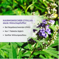 Dr. B&ouml;hm M&ouml;nchspfeffer 4mg, 60 Stk., Apomedica Pharmazeutische Produkte GmbH