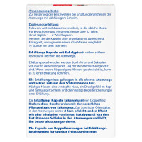 Doppelherz Erk&auml;ltungs Kapseln Eukalyptus, 40 Stk., Queisser Pharma GmbH & Co. KG
