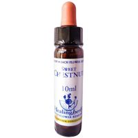 BACHBLUETEN Sweet Chestnut Healing Herbs, 10 ml, Leitner Lifecare GmbH