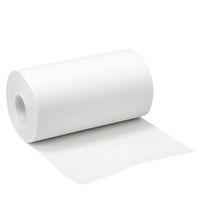 ASKINA FIX 10MX20CM HYPOALLERGENES FIXIERVLIES, 1 st, B. Braun Melsungen AG