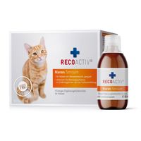 Recoactiv Nieren Tonicum f&uuml;r Katzen Kurpackung, 3x90 ml, Recovet GmbH