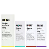 Phoenix Entgiftungskur 1 Stück , 1 Stück, Central-Apotheke