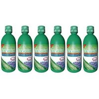 Aloe Vera Saft mit Heidelbeer Saft, 6 × 1 Liter, Groß GmbH