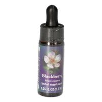 Blackberry FES kalifornische Blütenessenz, 7.5 ml, Leitner Lifecare GmbH