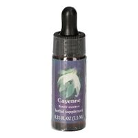 Cayenne FES kalifornische Blütenessenz, 7.5 ml, Leitner Lifecare GmbH