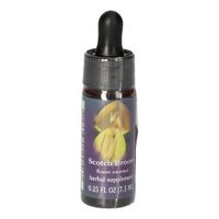 Scotch Broom FES kalifornische Blütenessenz, 7.5 ml, Leitner Lifecare GmbH