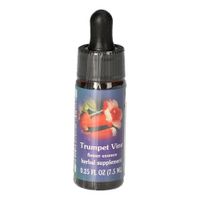 Trumpet Vine FES kalifornische Blütenessenz, 7.5 ml, Leitner Lifecare GmbH