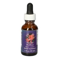 Canyon Dudleya FES kalifornische Blütenessenz, 30 ml, Leitner Lifecare GmbH