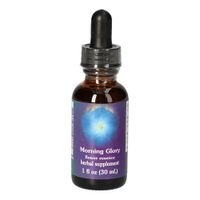 Morning Glory FES kalifornische Blütenessenz, 30 ml, Leitner Lifecare GmbH