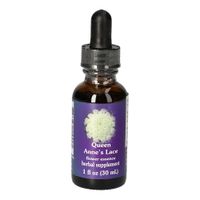 Queen Anne's Lace FES kalifornische Blütenessenz, 30 ml, Leitner Lifecare GmbH