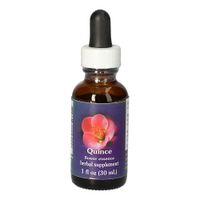 Quince FES kalifornische Blütenessenz, 30 ml, Leitner Lifecare GmbH