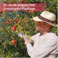 Dr. Jacob's Granatapfel-Weihrauch-Creme Naturkosmetik, 50 ml, Dr. Jacob's Medical GmbH