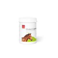 PHA Muskel & Leistung für Pferde, 850 g, PetVet GmbH