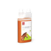 PHA Vitamin B-Komplex Liquid für Pferde, 1000 ml, PetVet GmbH