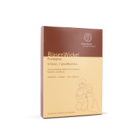 Blasenwickel Eucalyptus, 6 st, Wachswerk Dirk Otto e.K.