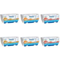 Fresubin dessert fruit Mischkarton, 24x125 g, Fresenius Kabi Deutschland GmbH