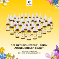 BACHBLUETE 12 GENTIAN BIO, 20 ml, Hager Pharma GmbH