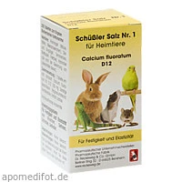 SCHÜSSLER SALZ Nr.1 Calcium fluor.D 12 f.Heimti, 200 Stück, Dr.RECKEWEG & Co. GmbH